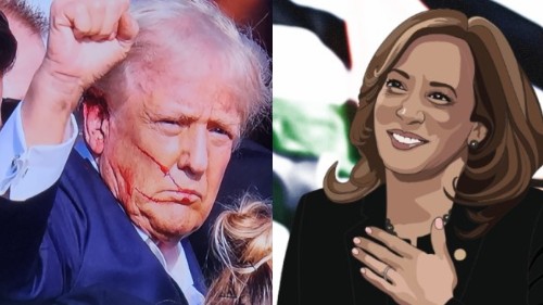 Trump or Kamala